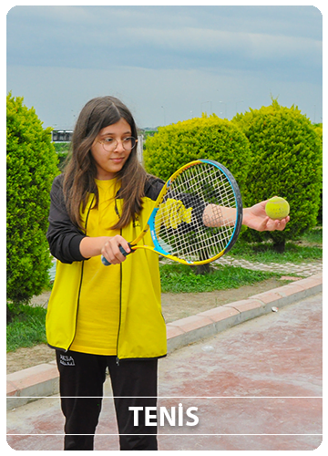 Tenis